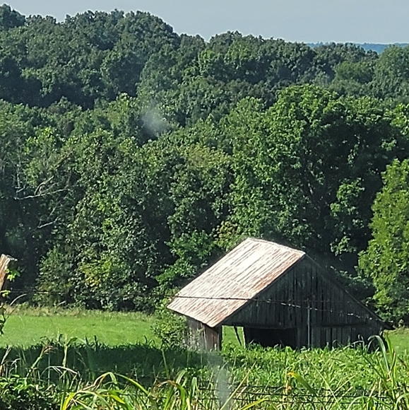 - Meet your Posher, Shelly - Picture 5 of 5